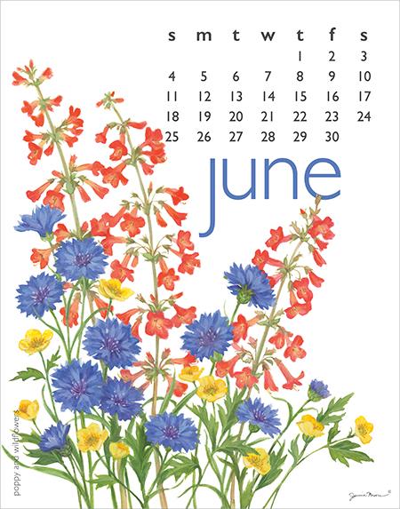 2023 Flowers - June